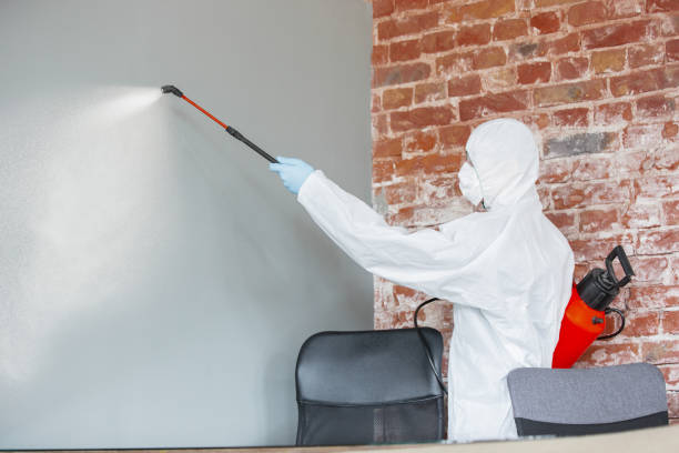 Biohazard Mold Removal in Las Quintas Fronterizas, TX