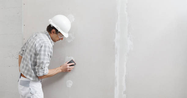 Best Air Quality Testing for Mold Spores  in Las Quintas Fronterizas, TX