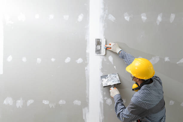 Best Forensic Mold Investigation  in Las Quintas Fronterizas, TX