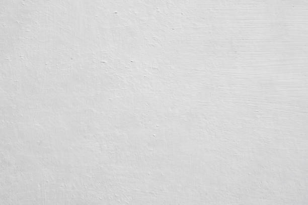 Mold Remediation for Rental Properties in Las Quintas Fronterizas, TX
