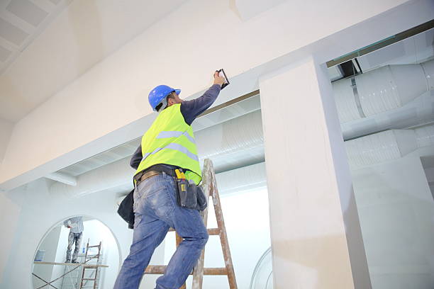 Best Real Estate Mold Inspection  in Las Quintas Fronterizas, TX